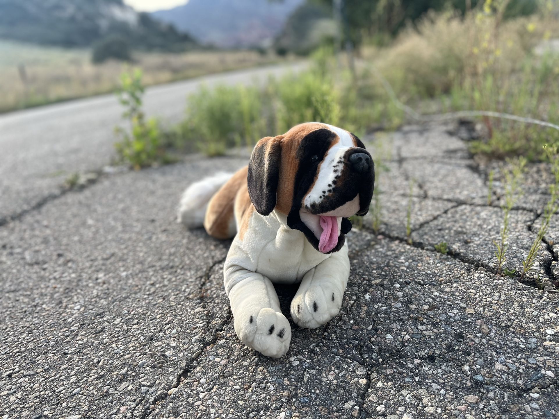 Rare Large Saint Bernard Plush - Toys & Collectibles | Color: Brown | Size: l