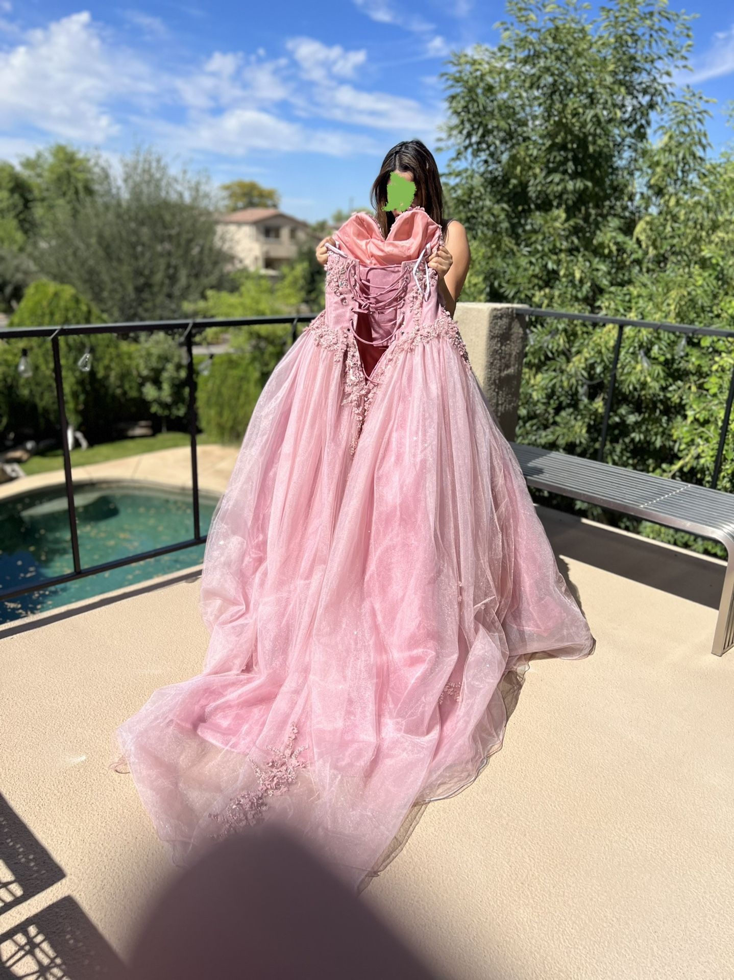Quinceniera Or Sweet 16 Dress