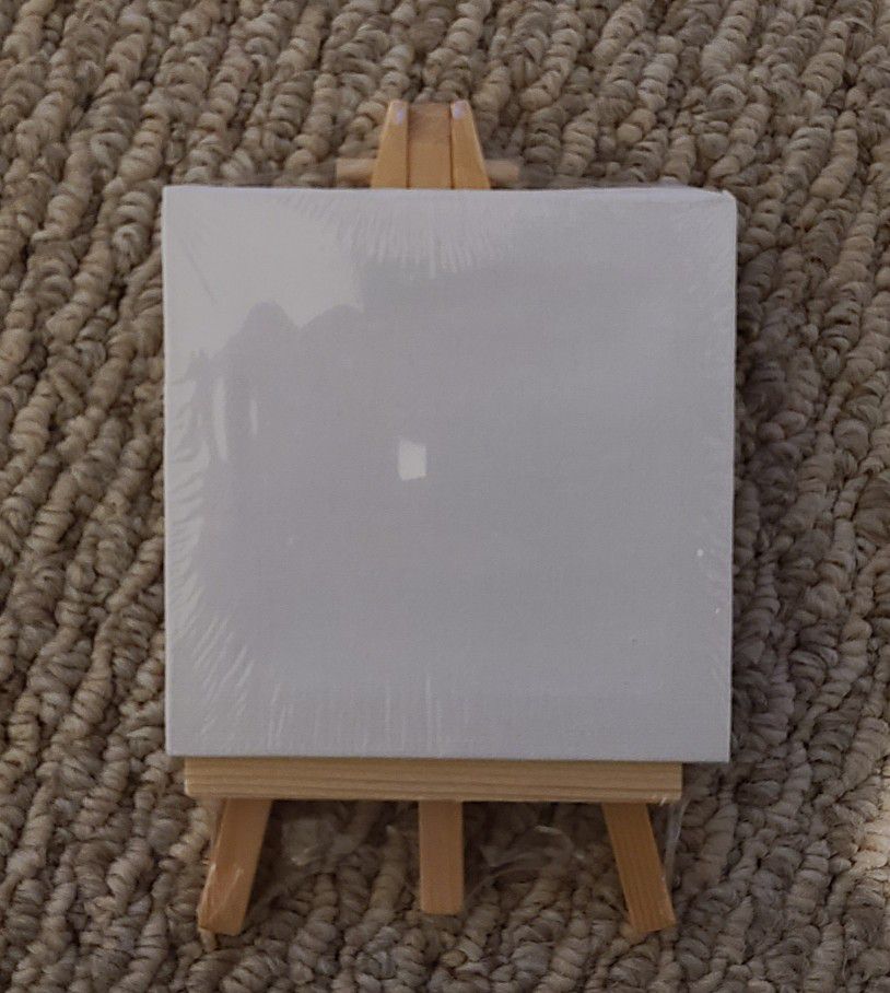 4x4 Mini Canvases on Easels
