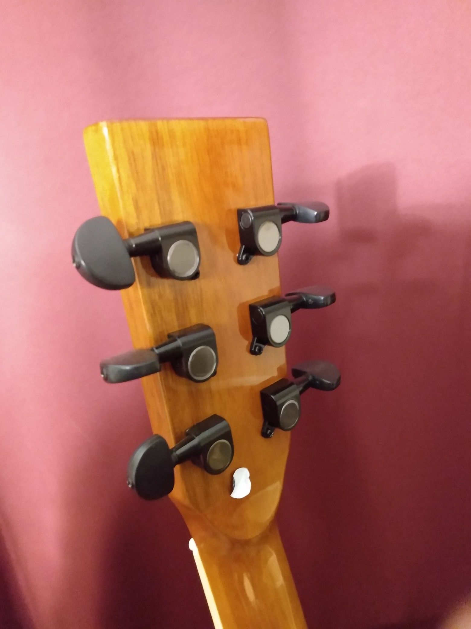 Brand new acoustic guitar, gig bag, extras