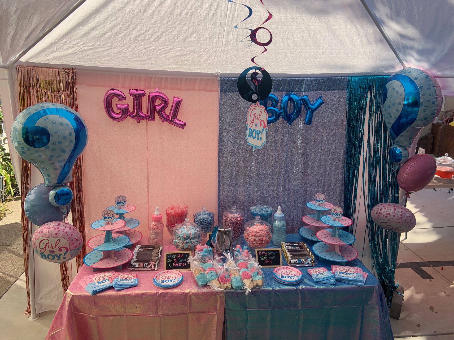 Extra Gender Reveal Decorations