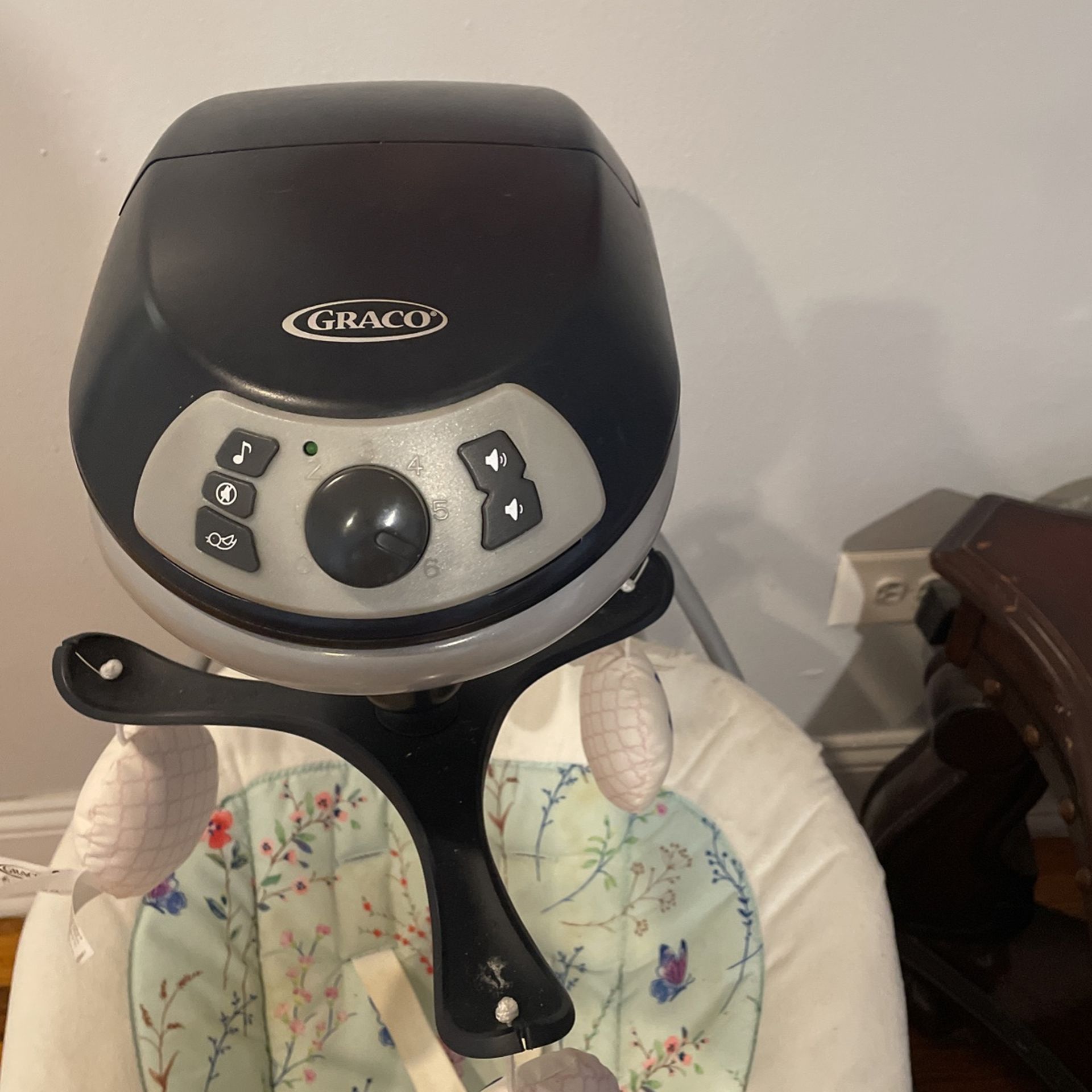 Graco Motion Swing