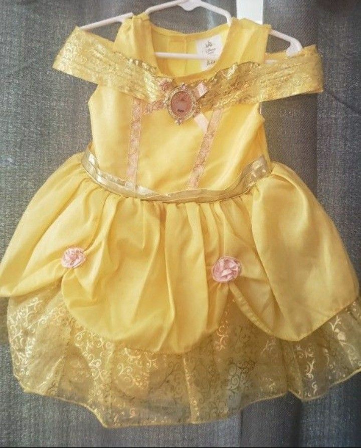 Disney Costumes! (Girl 18-24 Mths)