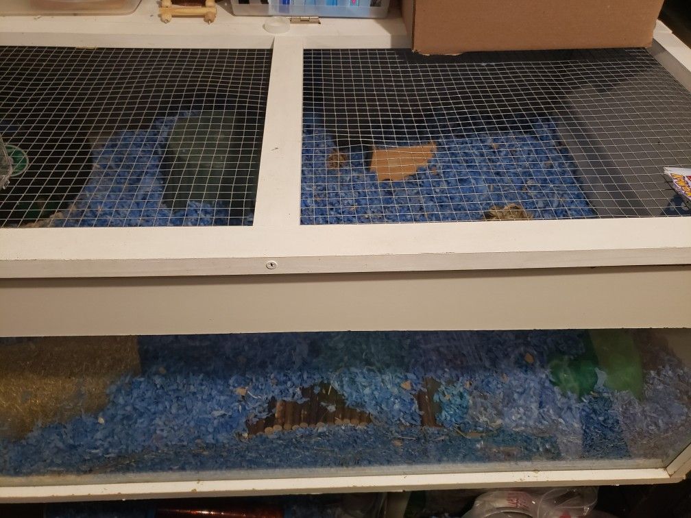 Hamster Cage 🐹 63 Inches Long X 28 Inches Wide! For $40 Need It Gone ASAP!