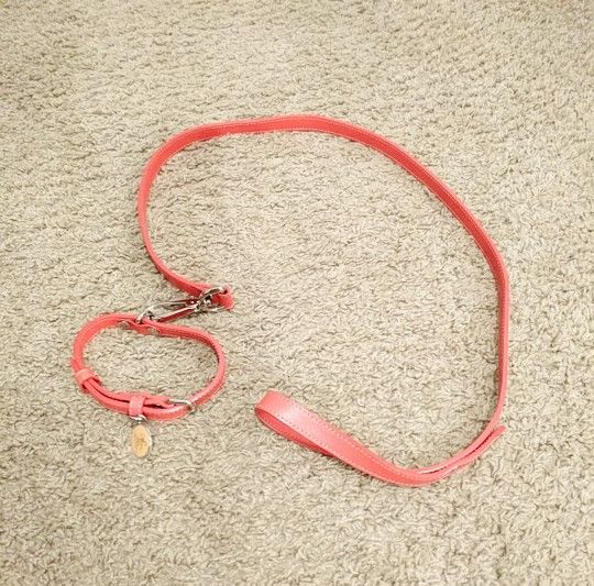 MCM Dog Collar & Leash Set