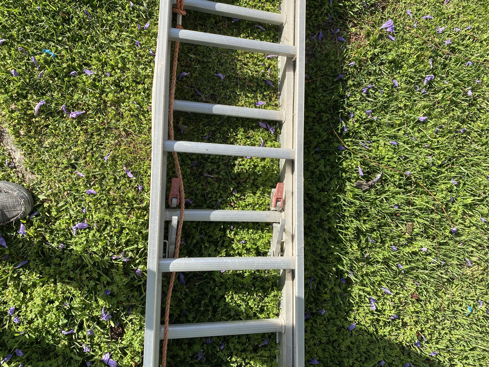 Long Ladder