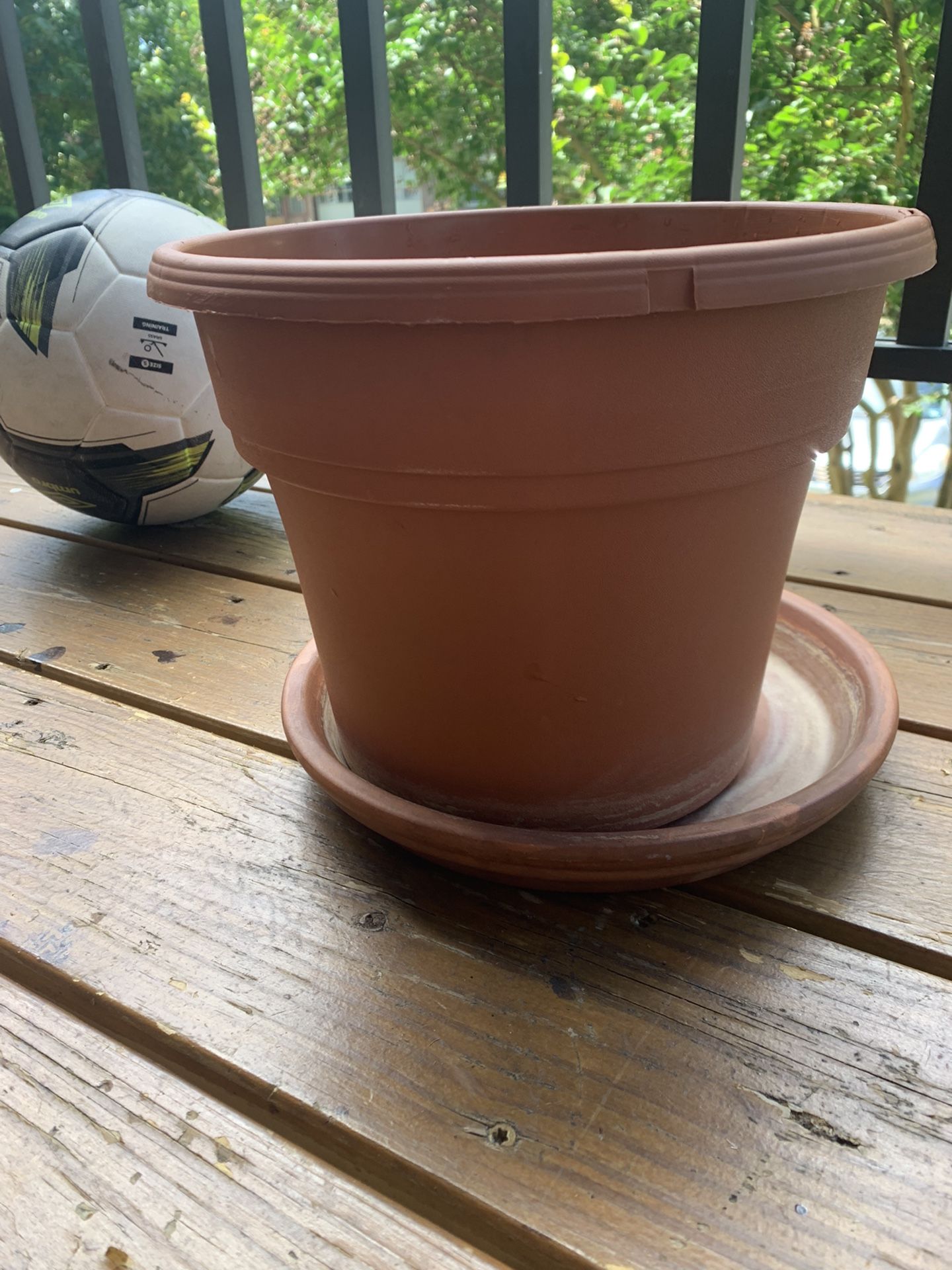 plant pot