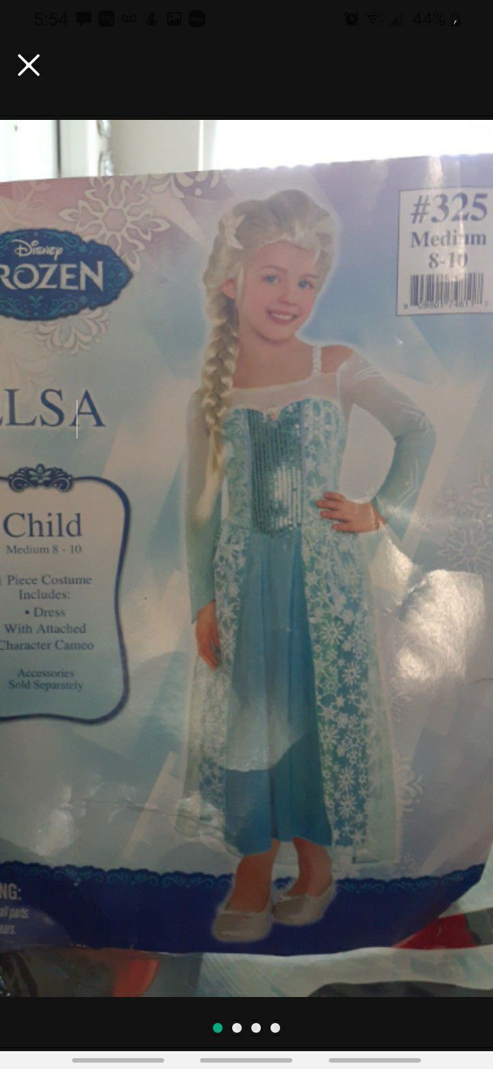 Elsa Costume 