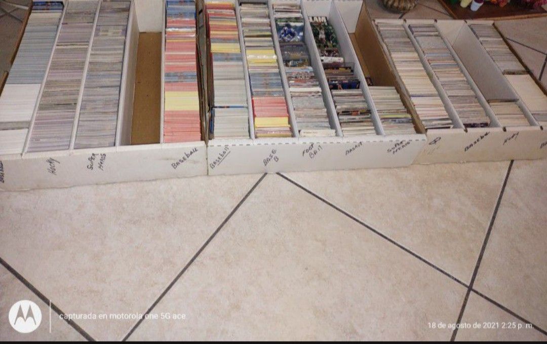 Collection Sport Cards