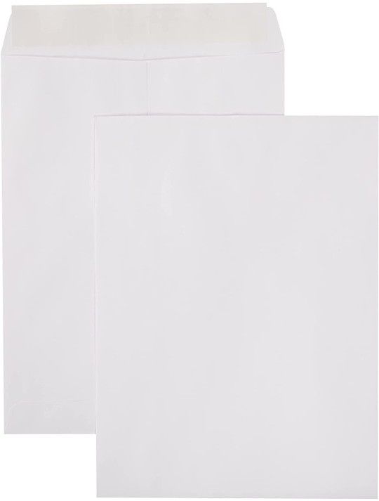 Sobres de correo para catálogo de Amazon Basics, Peel & Seal, 9 x 12 pulgadas, Blanco. Paquete De 250 Sobres