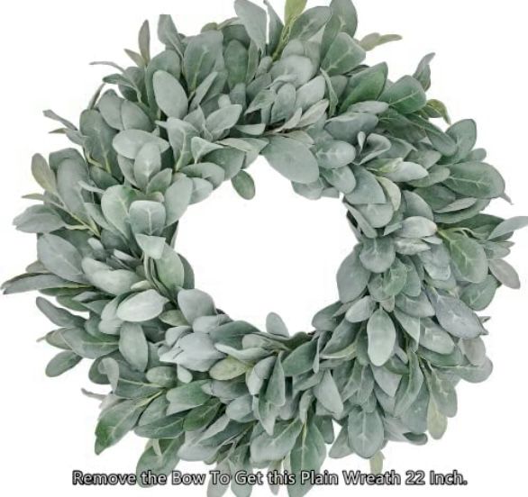 22 Inch Flocked Lambs Ear Wreaths for Front Door Wreaths for All Seasons Spring Summer Fall Autumn Winter Simple Modern Year Round Everyday F