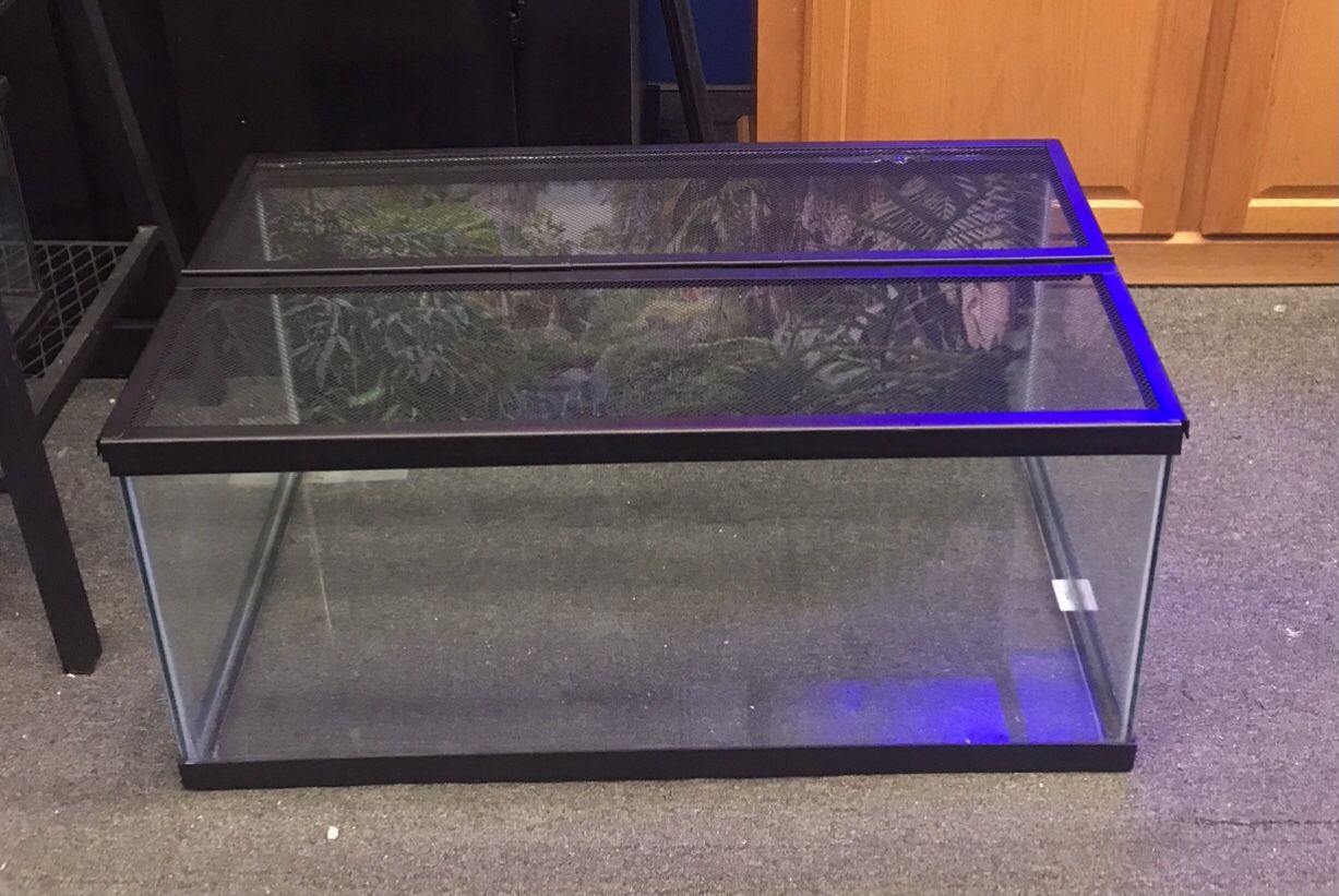 40 gallon Breeder Turtle Tank And Folding Screen Top $100