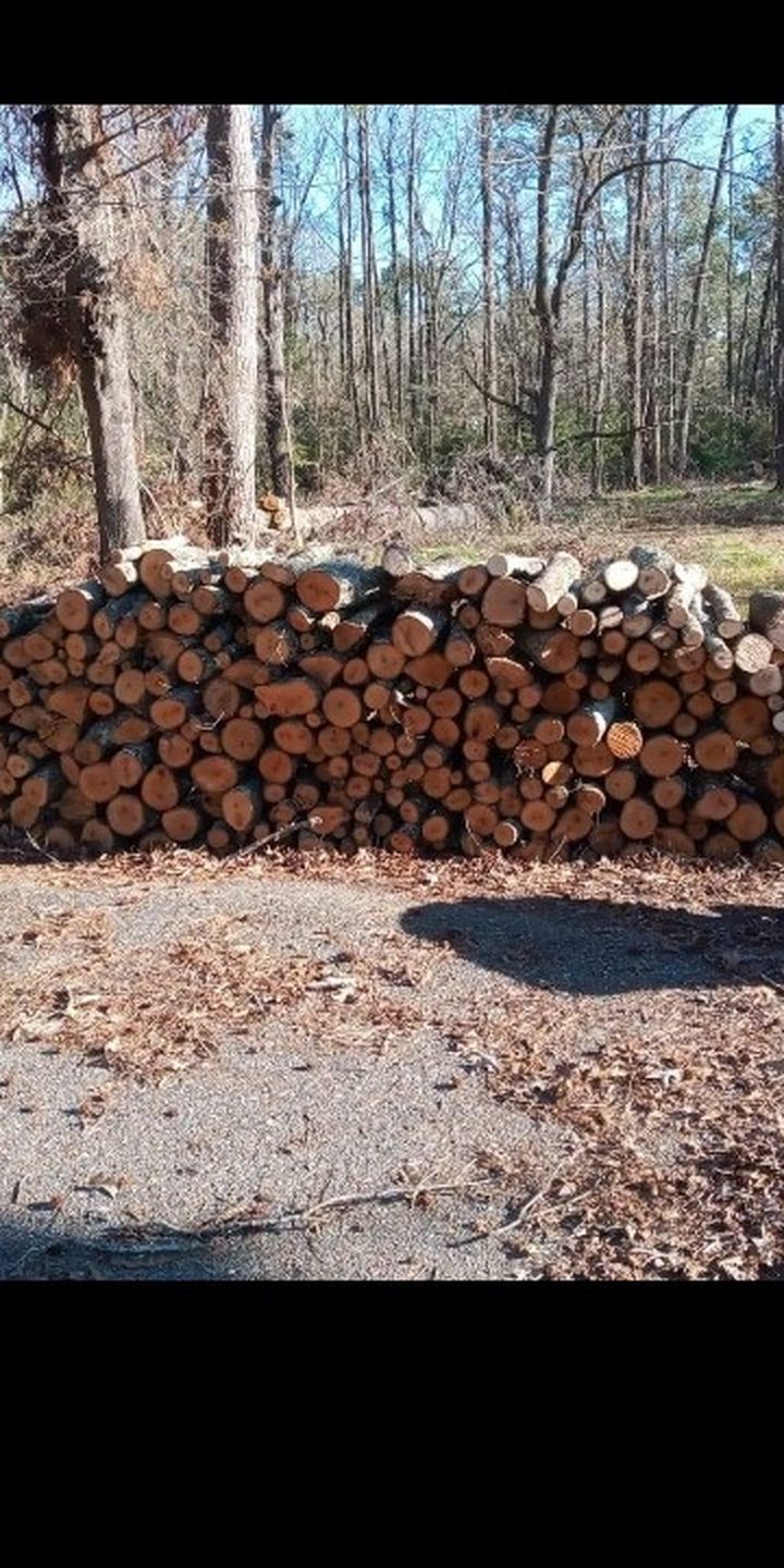 Firewood