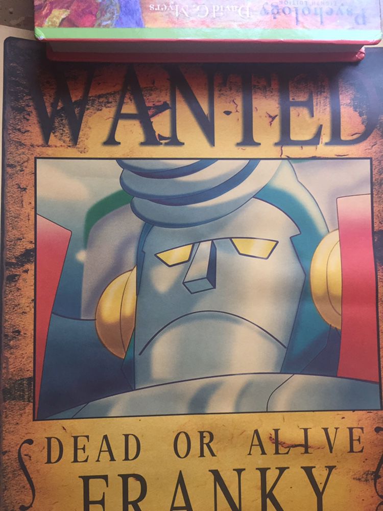 One piece Anime Franky Wanted Poster 