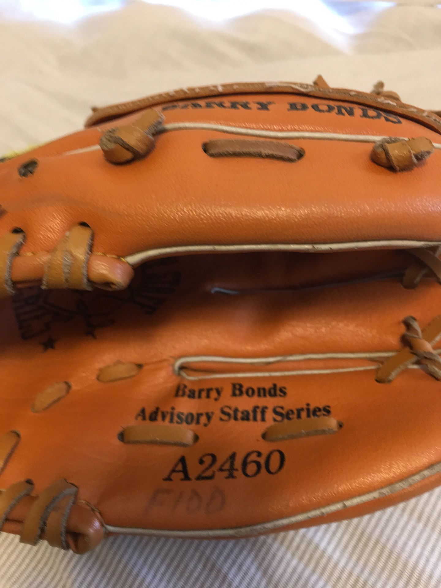Wilson youth baseball glove