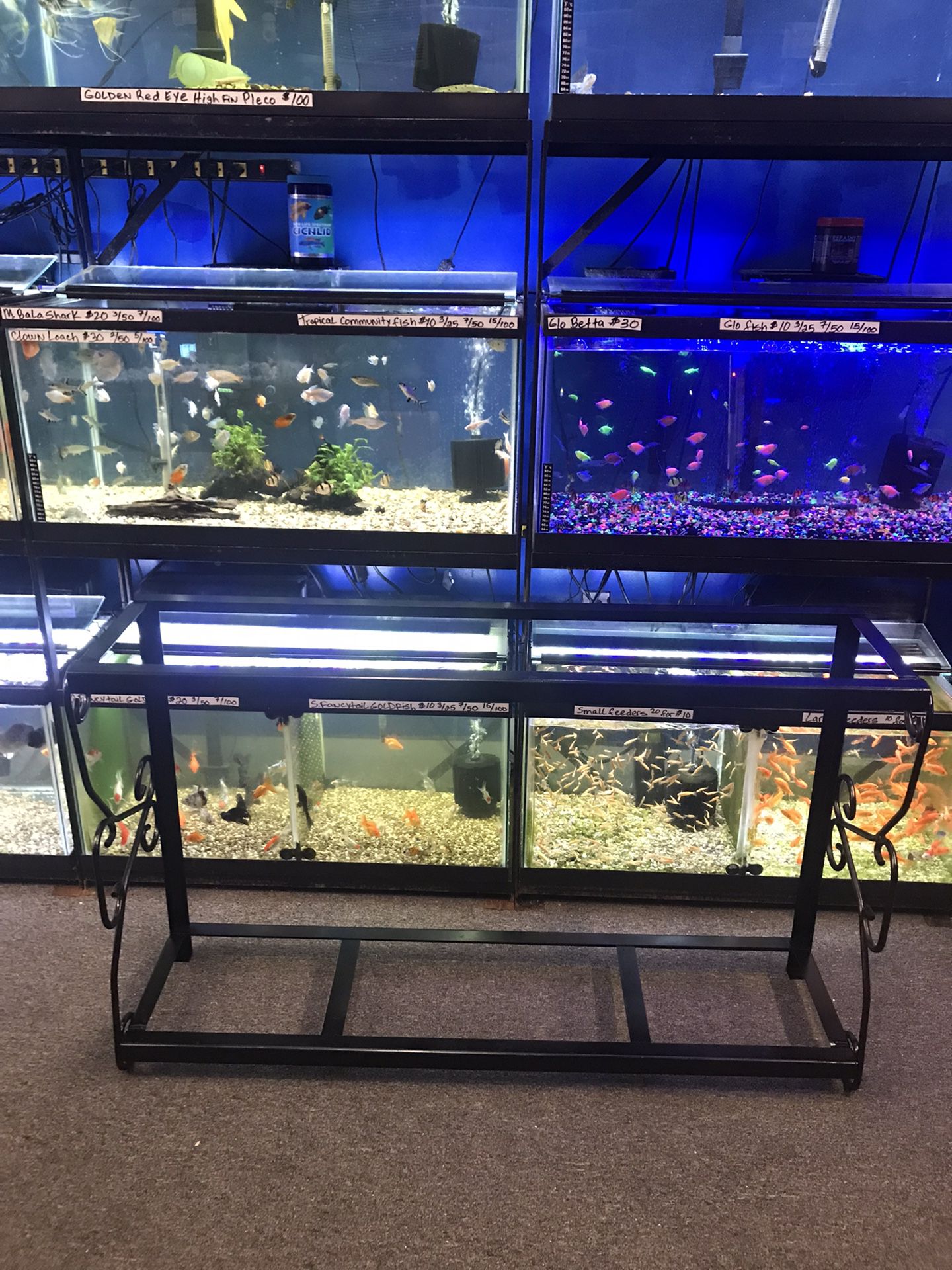 Stand For A 55 gallon Fish Tank $100