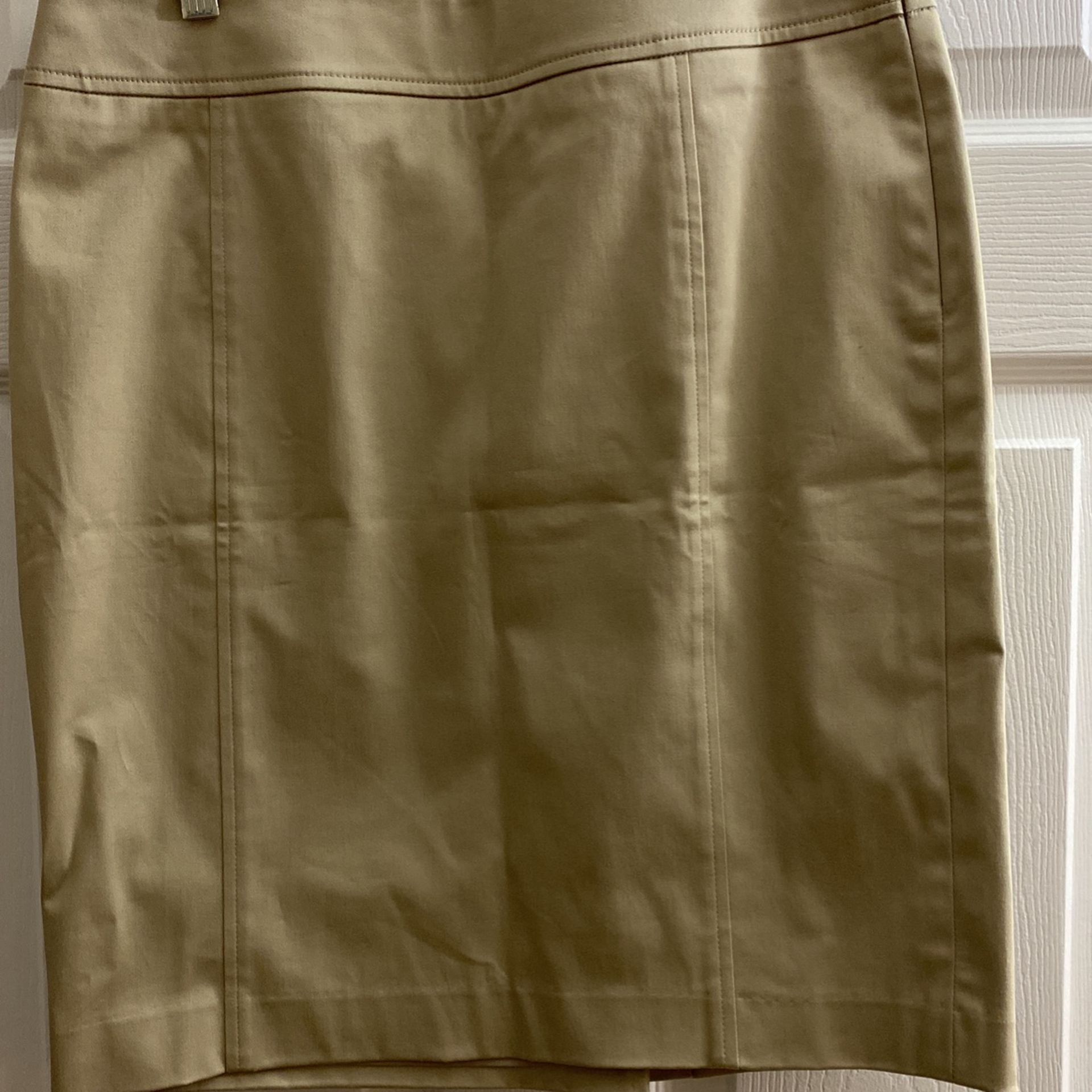 Loft Pencil Skirt - 10P