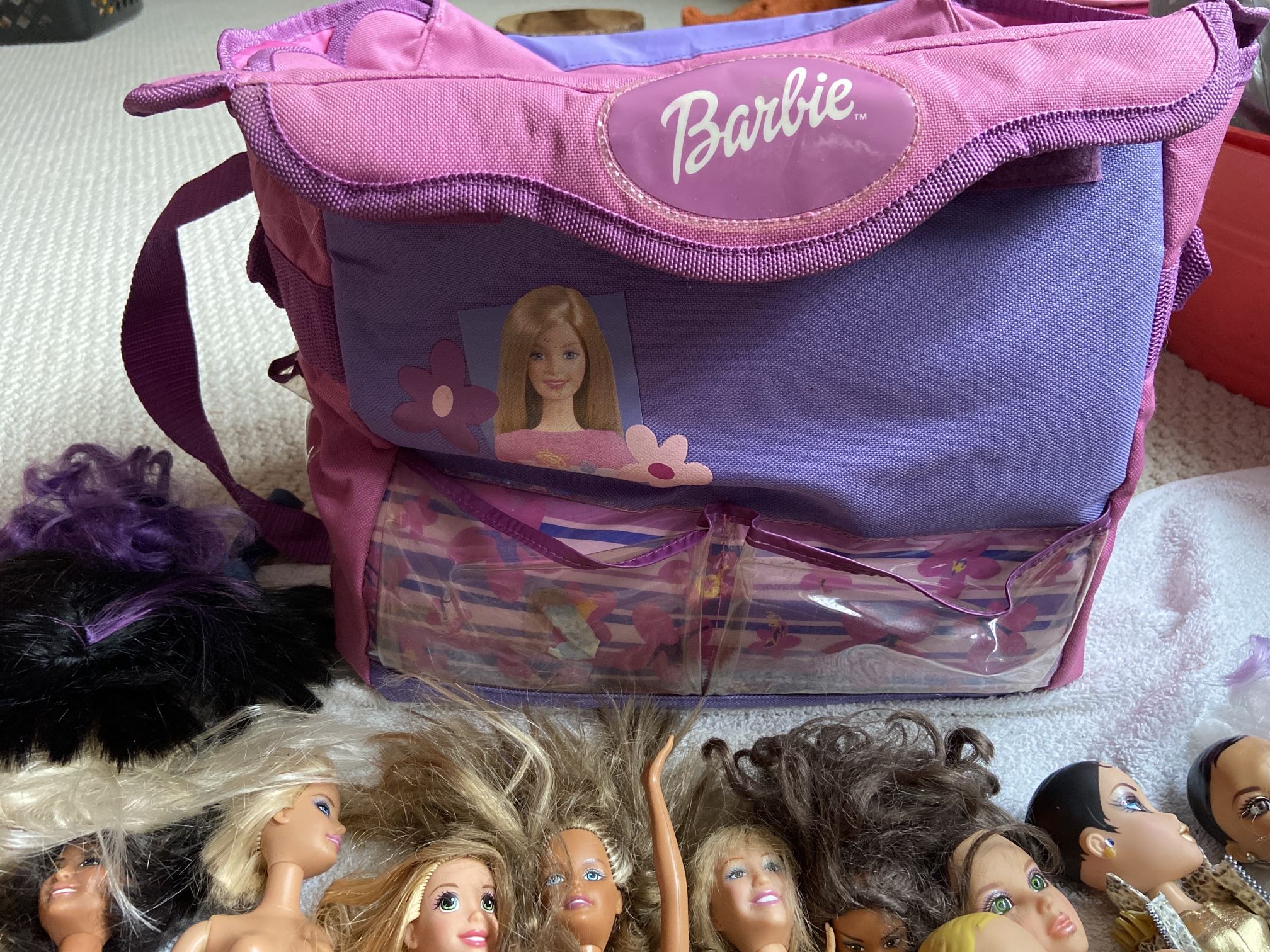 Barbie Lot Barbie bag Barbie clothes Truck