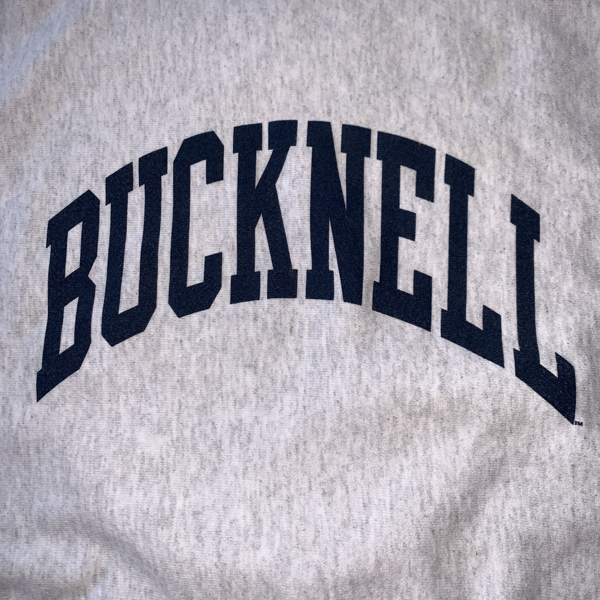 Champion Reverse Weave Crewneck