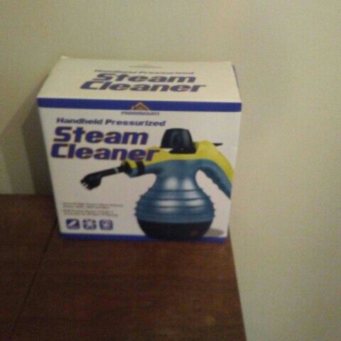 Nib Steam Cleaner