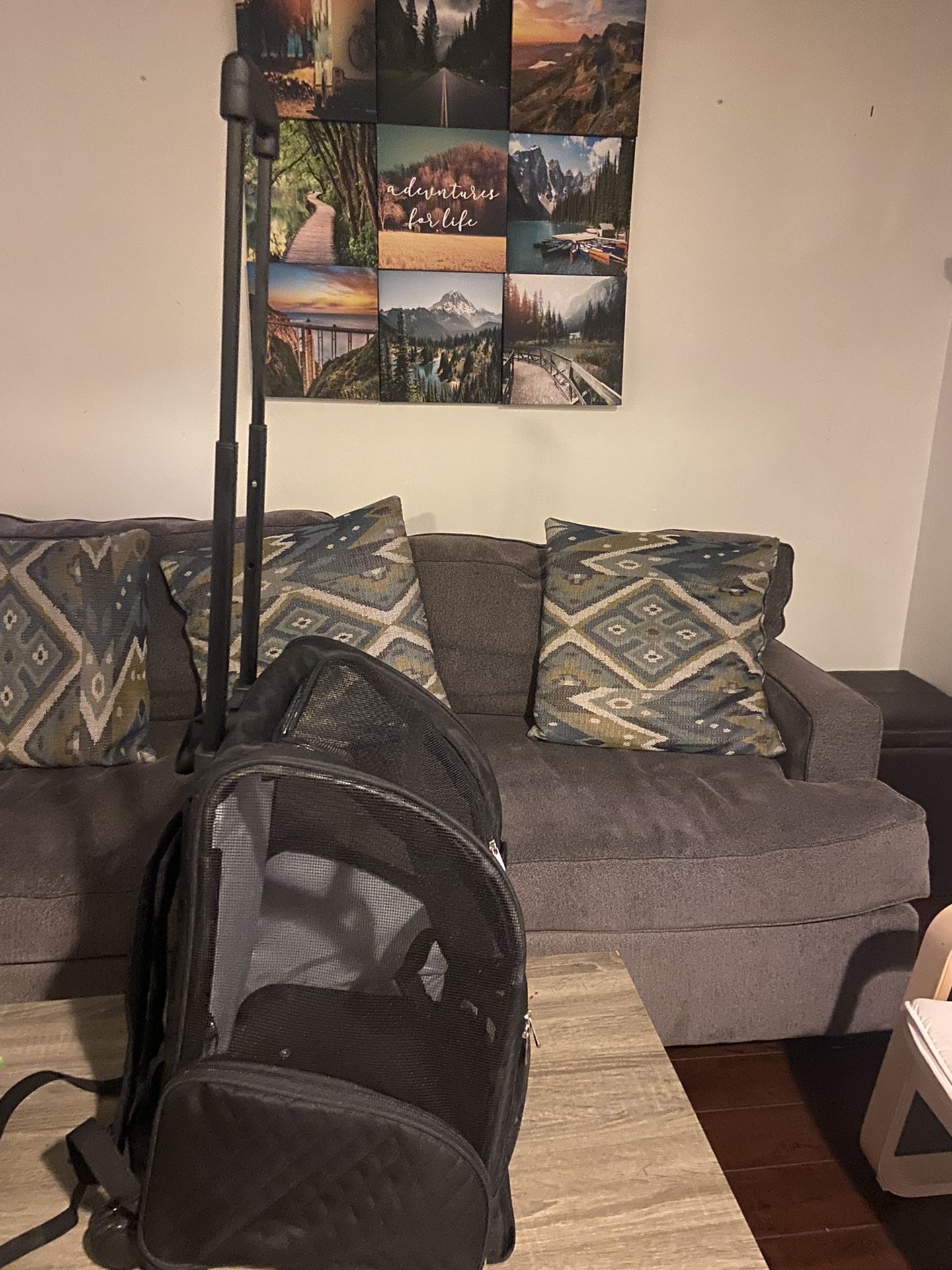 Dog Backpack & Stroller