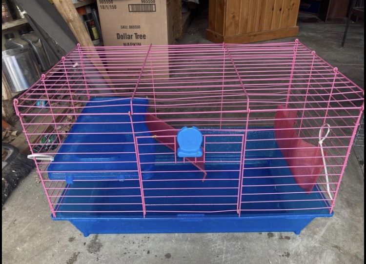 Guinea Pig Starter Cage
