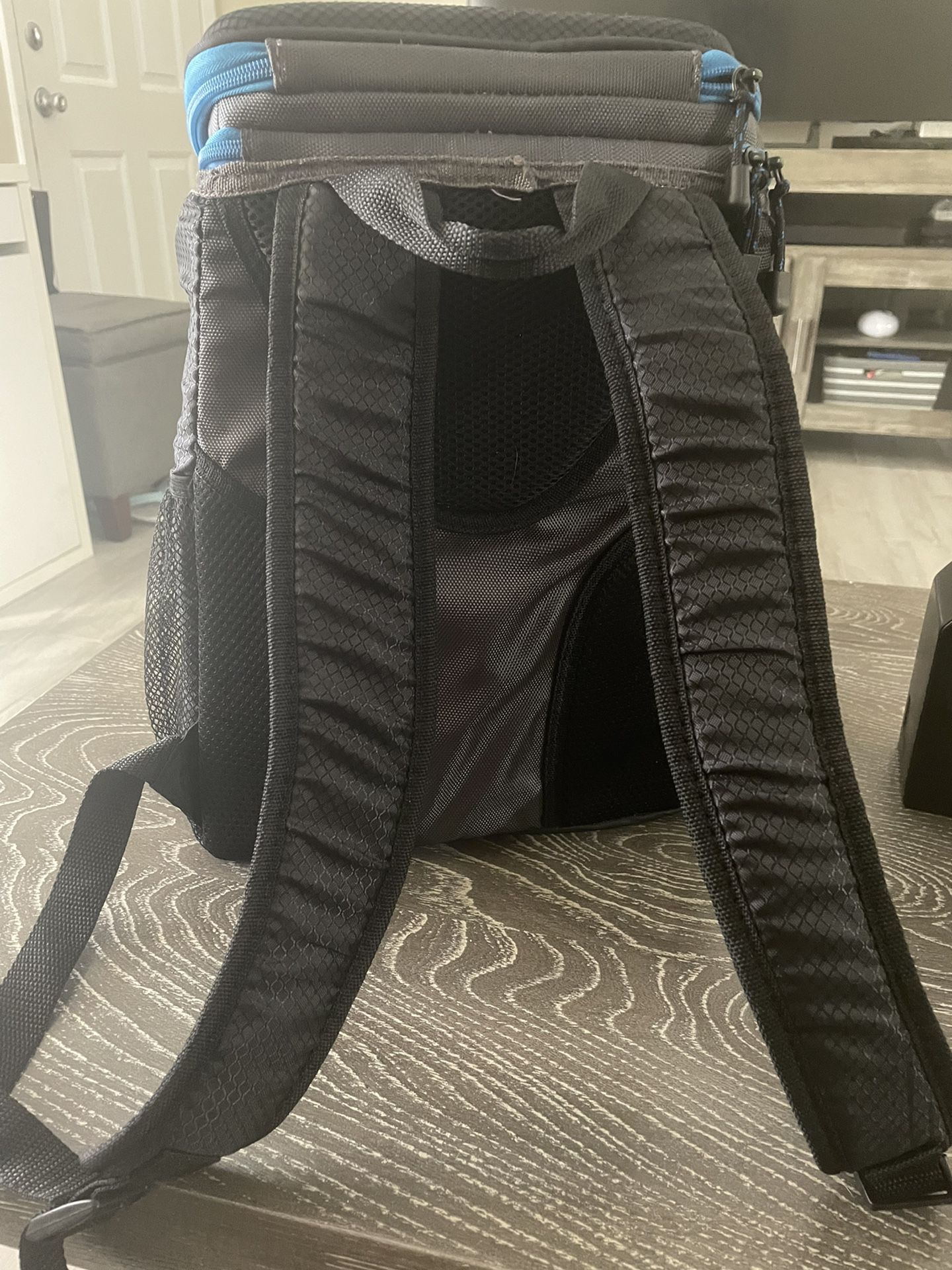 Igloo Cooler Backpack 
