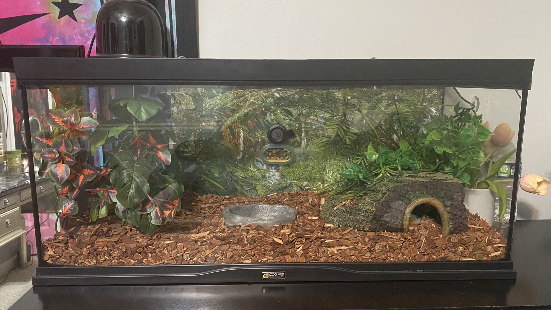 reptile tank