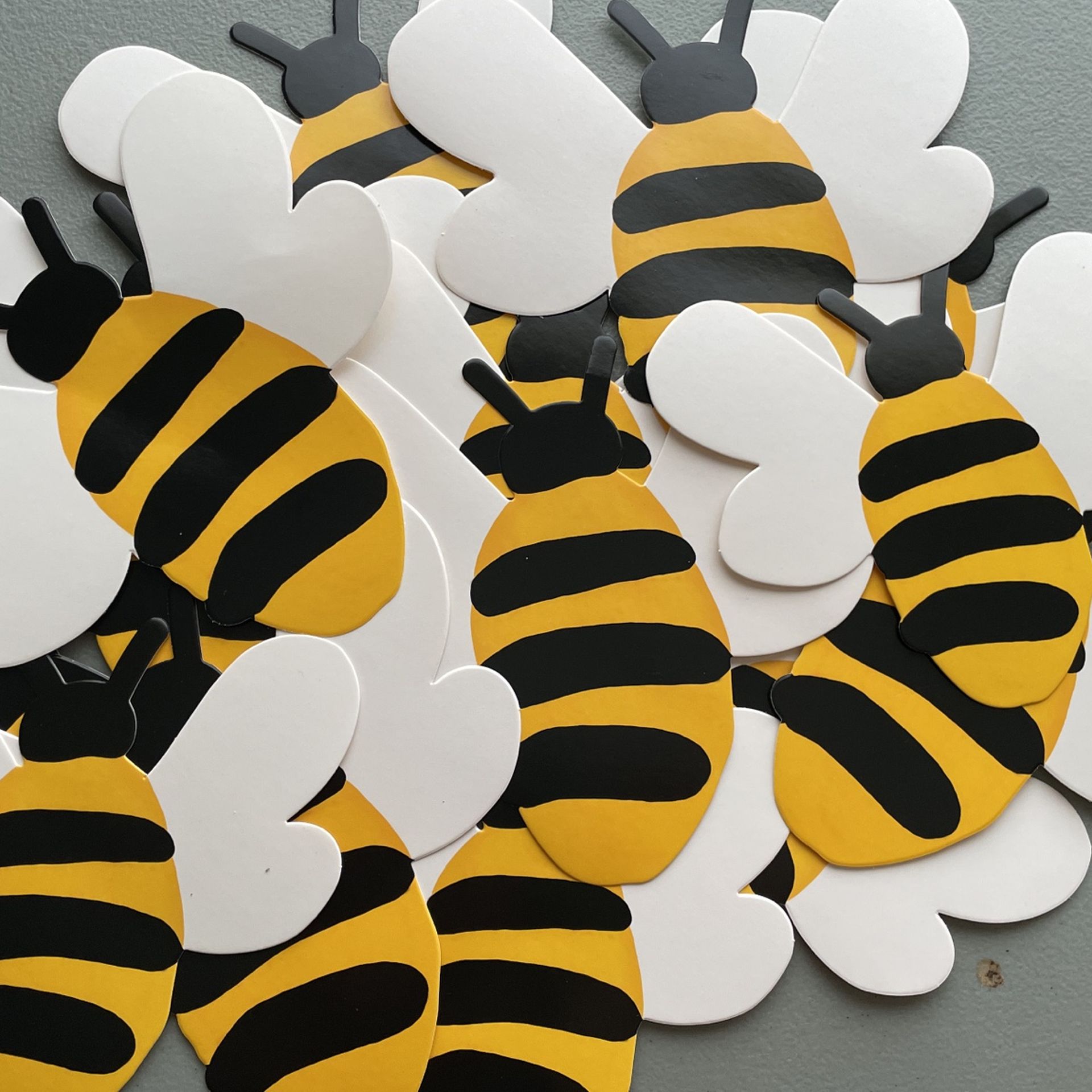 Gender Reveal Decorations