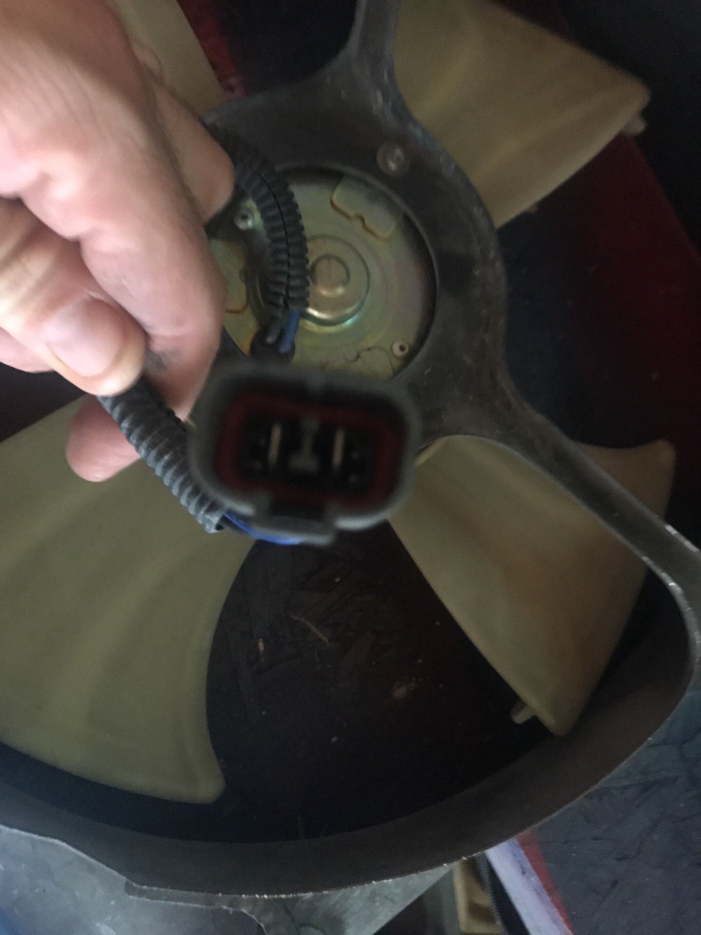 1999-2000 ac condenser fan.