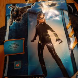 Catwoman: costume (small 4-6)
Size small (4-6) new. Sealed in package. Dark Knight. Great for Halloween Thumbnail