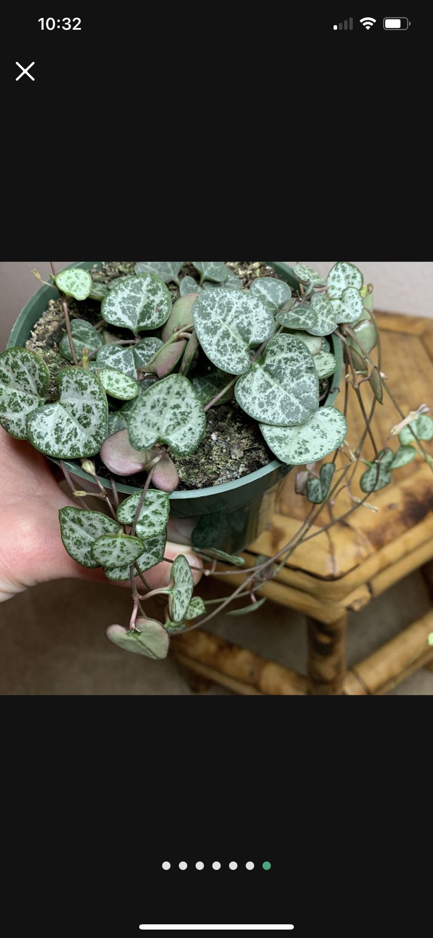 String Of Hearts 