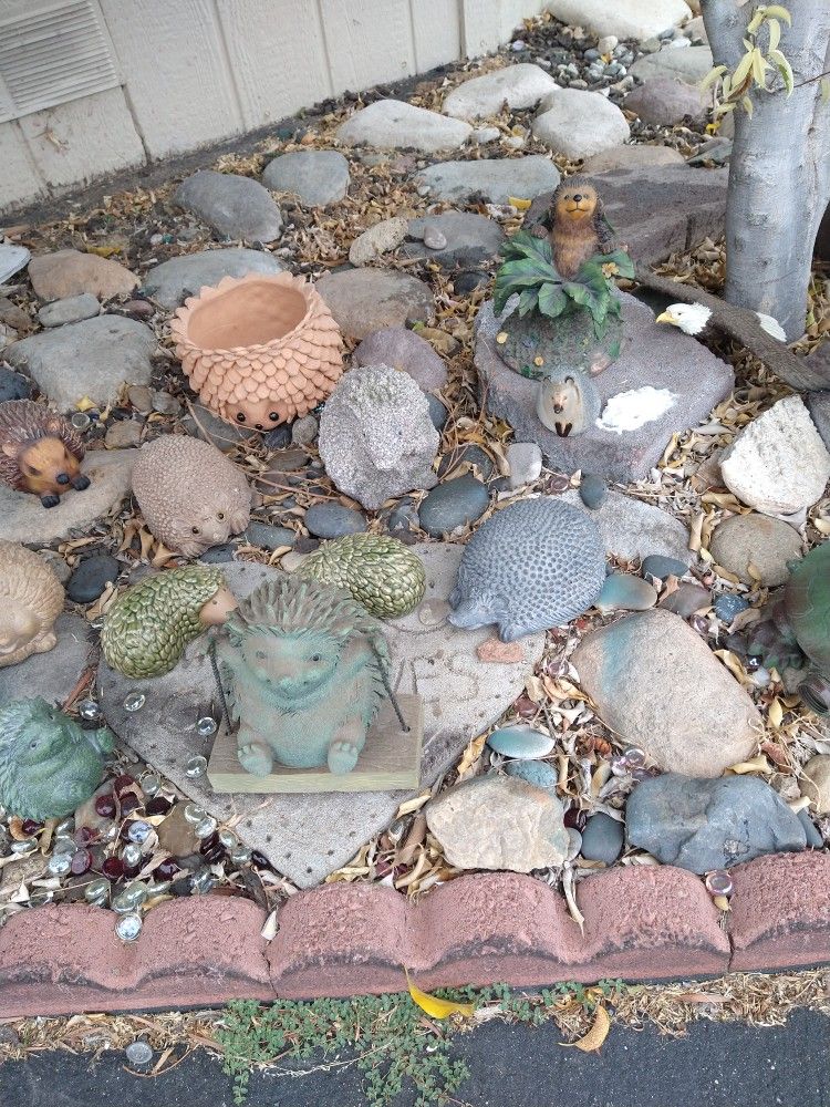 Hedge Hog Collection