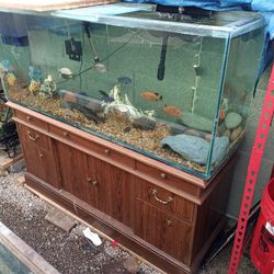 120 Gallon Fish Tank Aquarium With Stand And More Thumbnail