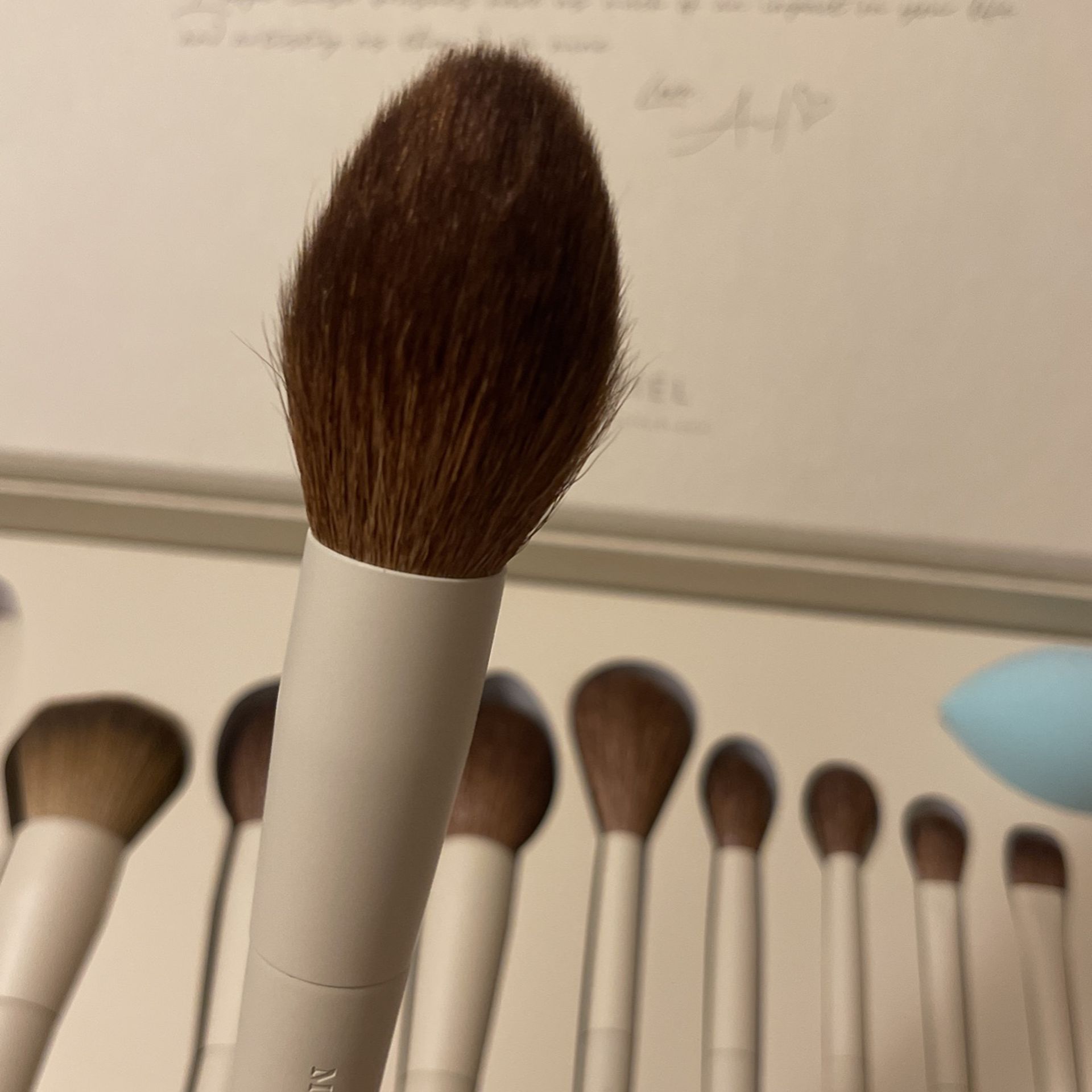 Morphe x Ariel makeup brushes 