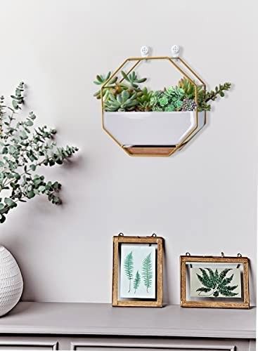 ChiRee Plant Pots