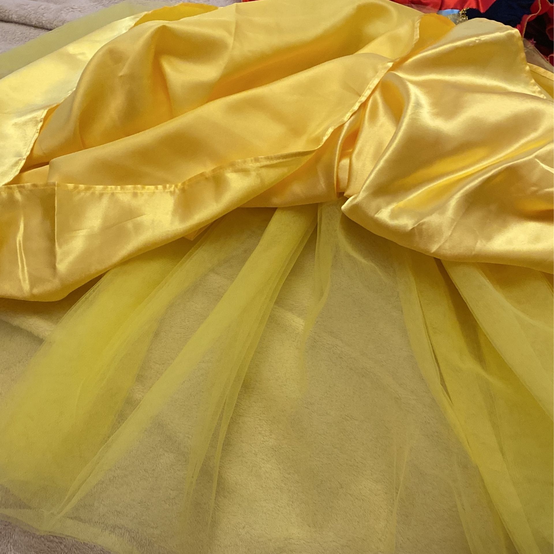 Cinderella Dress/ Costume