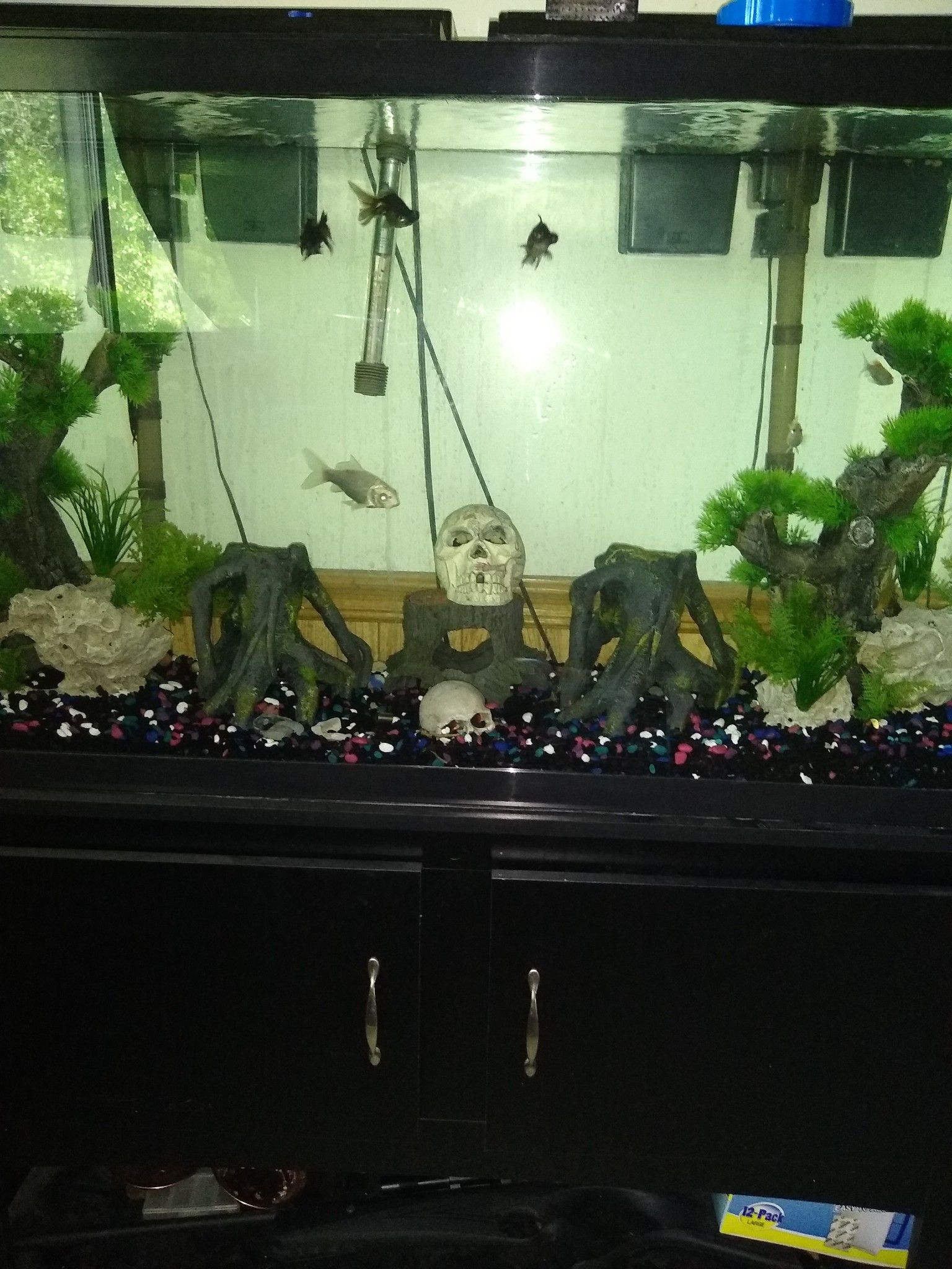 75 Gallon Fish Tank with stand and all included