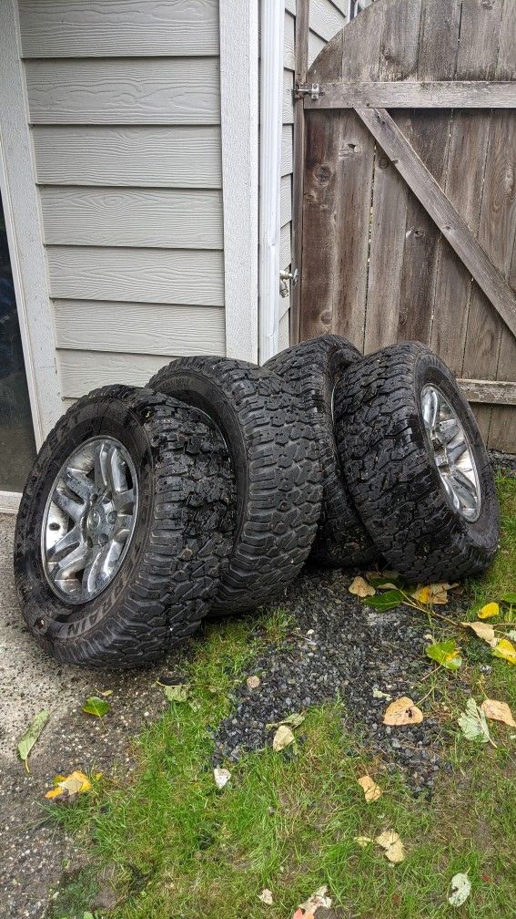 Studded Mud Terrain Tires and Rims