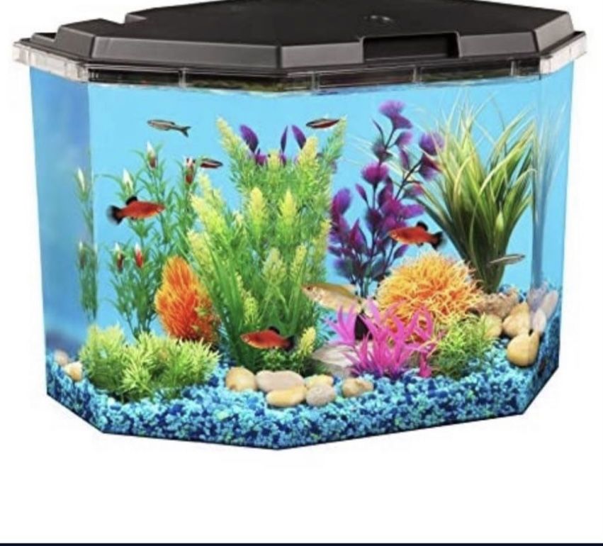 Fish Tank