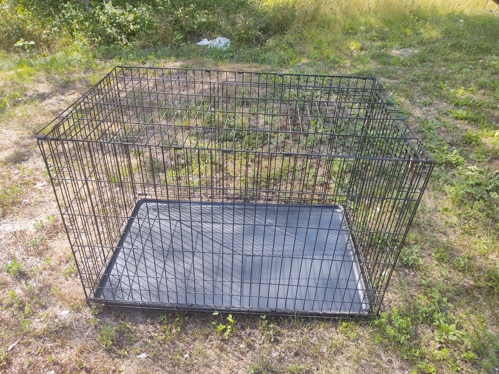 Kennel