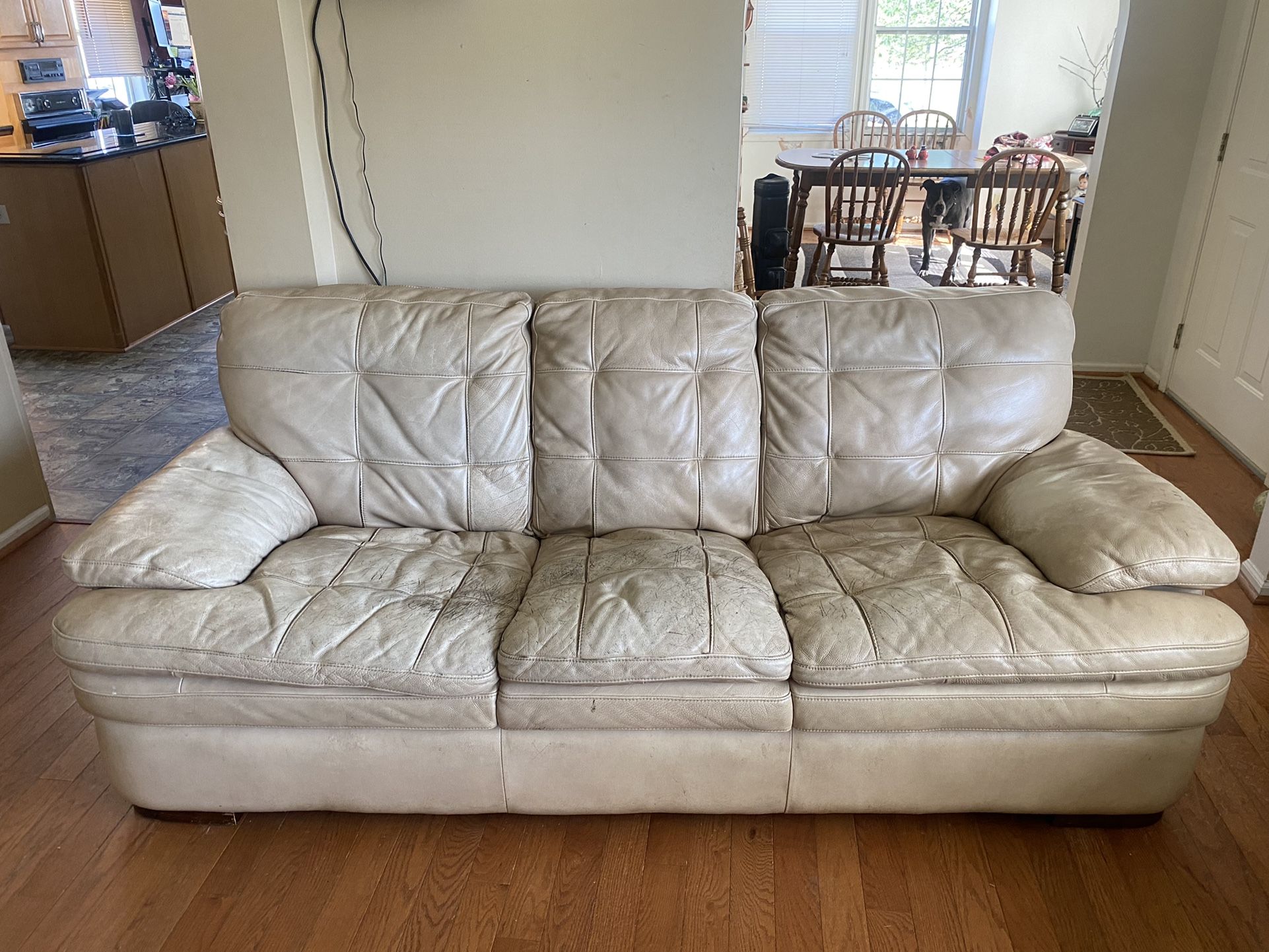 Leather Sofa No Tears Or Rips