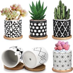 Succulent Pots 6 Pack,3 Inch Ceramic Planter with Drainage and Bamboo Tray, Geometric Patterns Small Plant Pots Decor for Home and Office - Plants NOT Thumbnail
