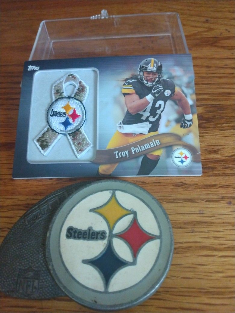 Troy Polamalu