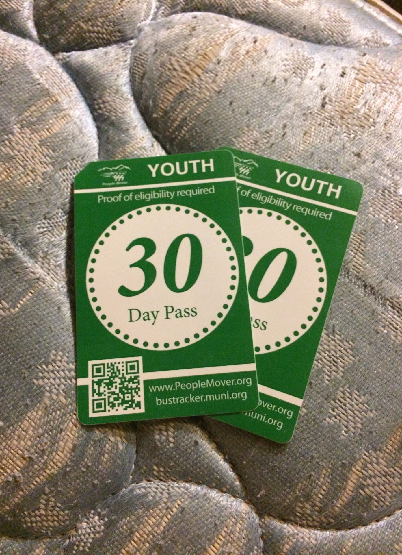 2 People mover youth bus pass