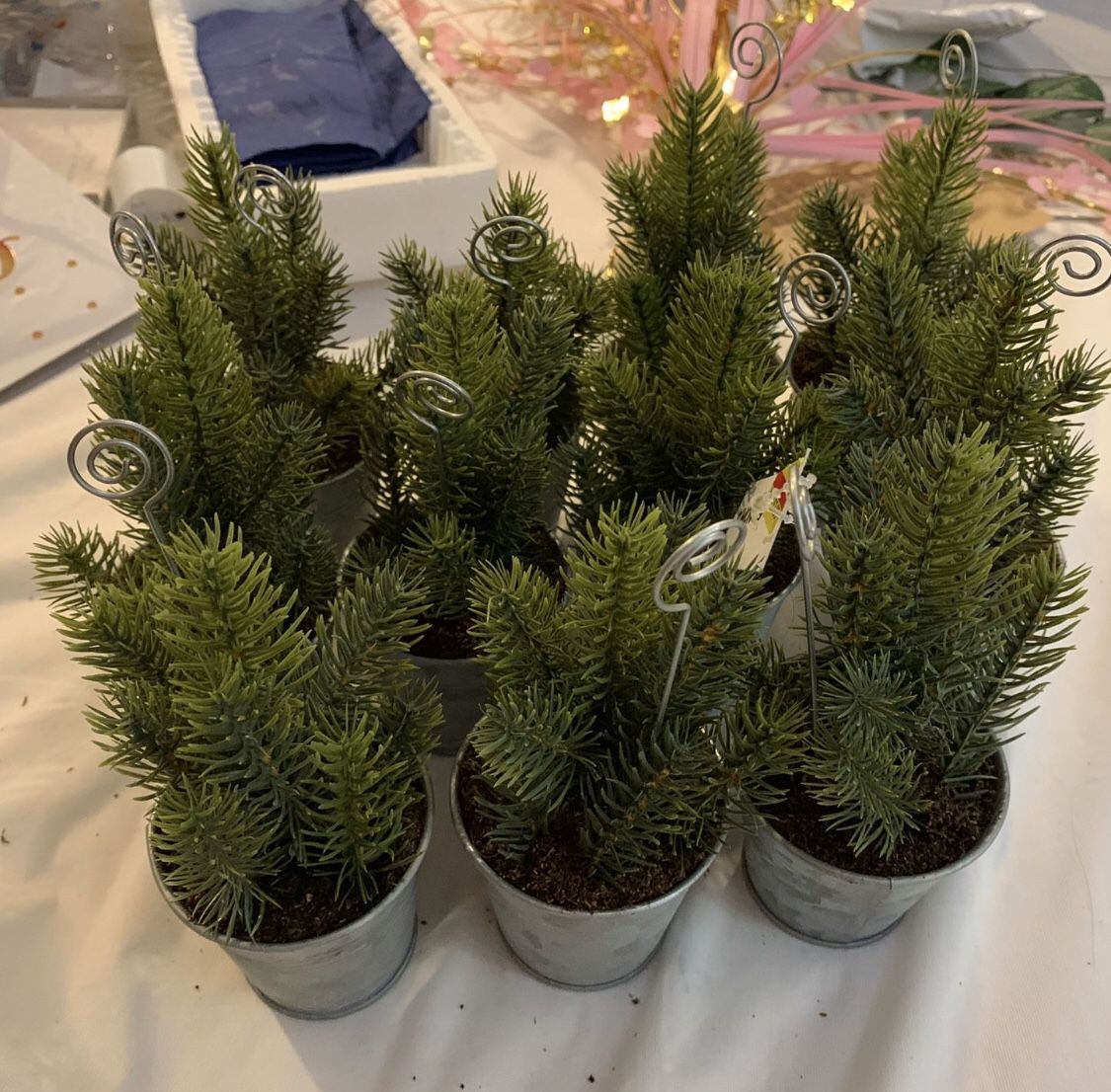 11 Picture Or Table Number Holders