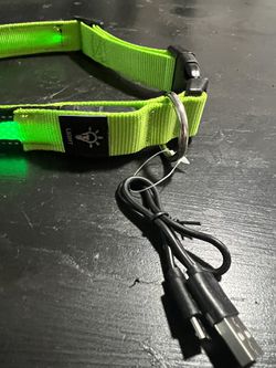 Dog Light-Up Green Color Size Large Thumbnail
