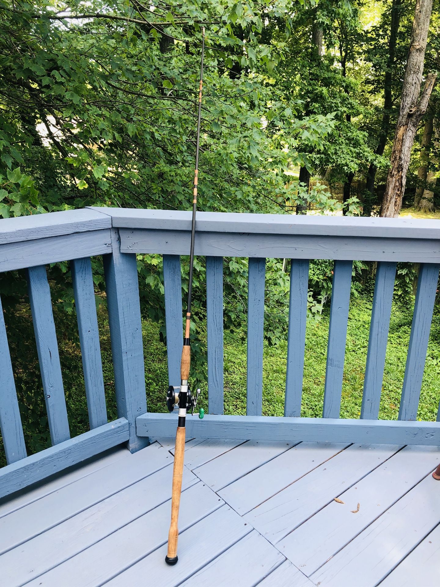 fishing reel and rod for deep sea