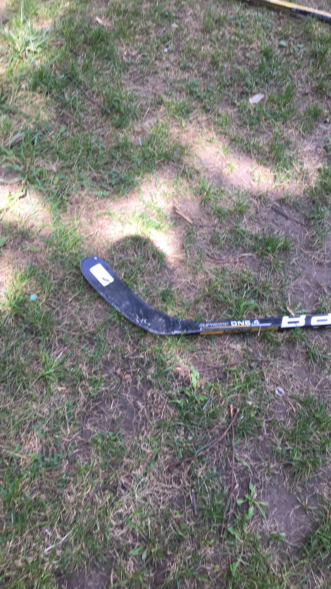Hockey stick
