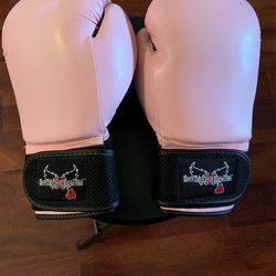 Century 12 0unce Boxing Gloves, Pink In Color . Thumbnail